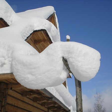 Nosalowka ซาโกปาเน ภายนอก รูปภาพ